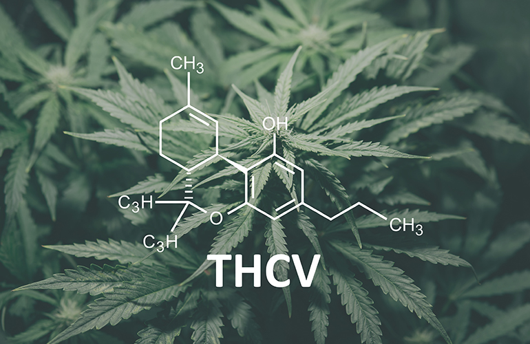 What Is THCV? - CStore Decisions